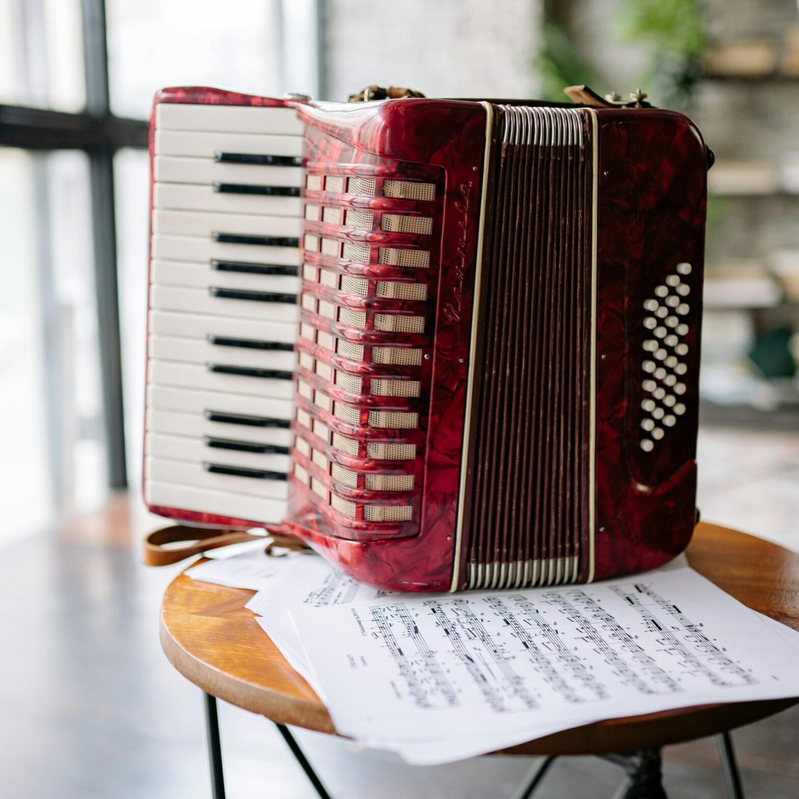 Our Accordion Group Is Back! thumb